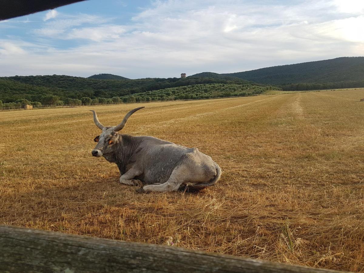 Tenuta Agricola Dell'Uccellina Magliano in Toscana Kültér fotó