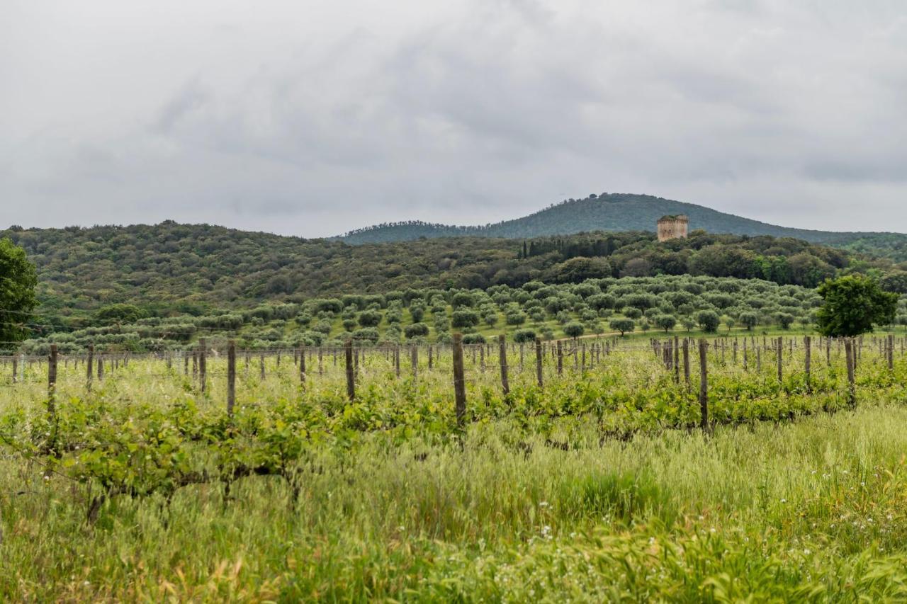 Tenuta Agricola Dell'Uccellina Magliano in Toscana Kültér fotó