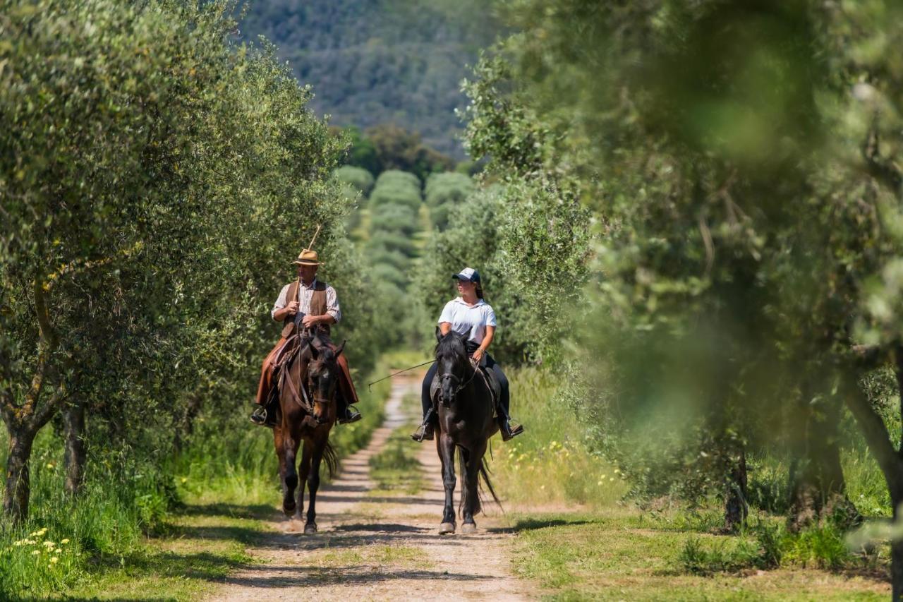 Tenuta Agricola Dell'Uccellina Magliano in Toscana Kültér fotó