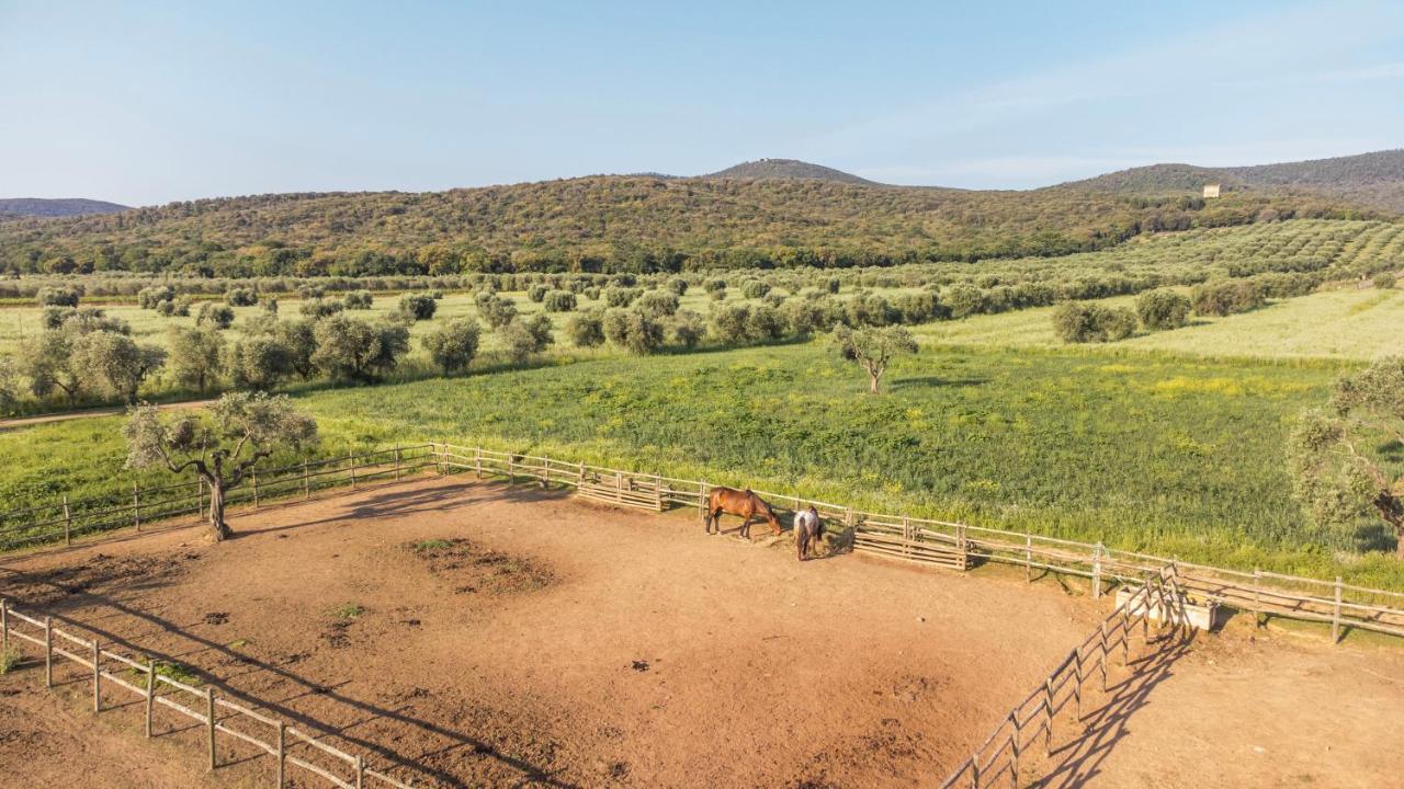 Tenuta Agricola Dell'Uccellina Magliano in Toscana Kültér fotó