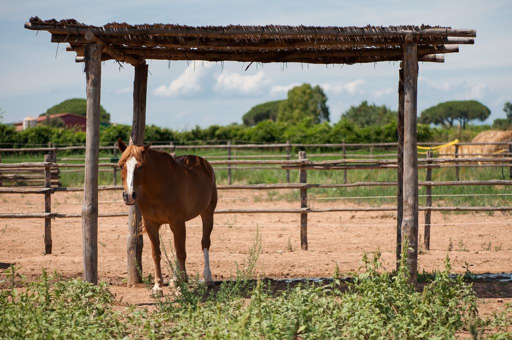 Tenuta Agricola Dell'Uccellina Magliano in Toscana Kültér fotó
