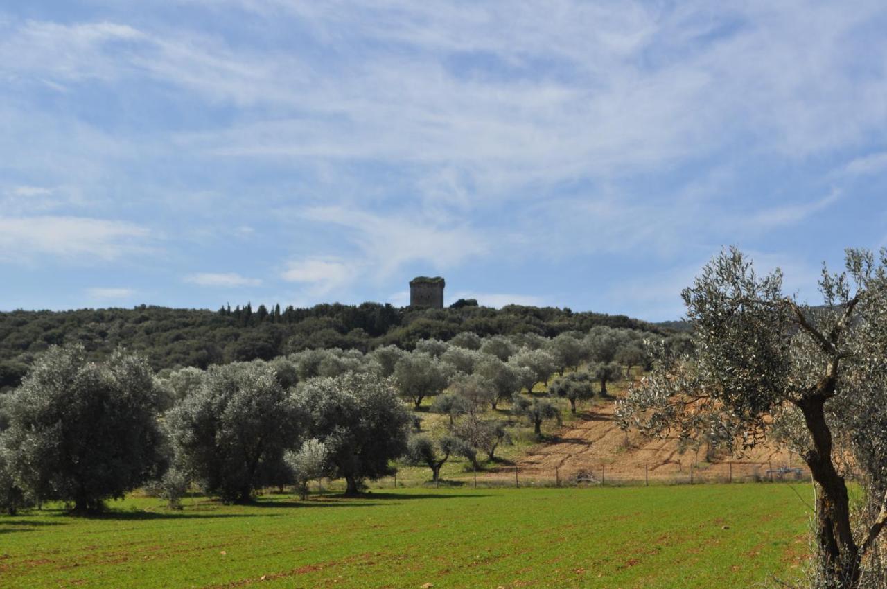 Tenuta Agricola Dell'Uccellina Magliano in Toscana Kültér fotó